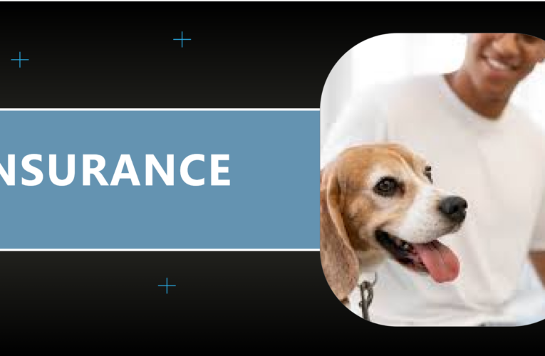 The 15 best pet insurance providers in 2024